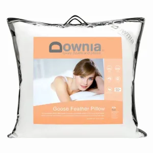 Downia Goose Collection Feather European Pillow 65 x 65cm