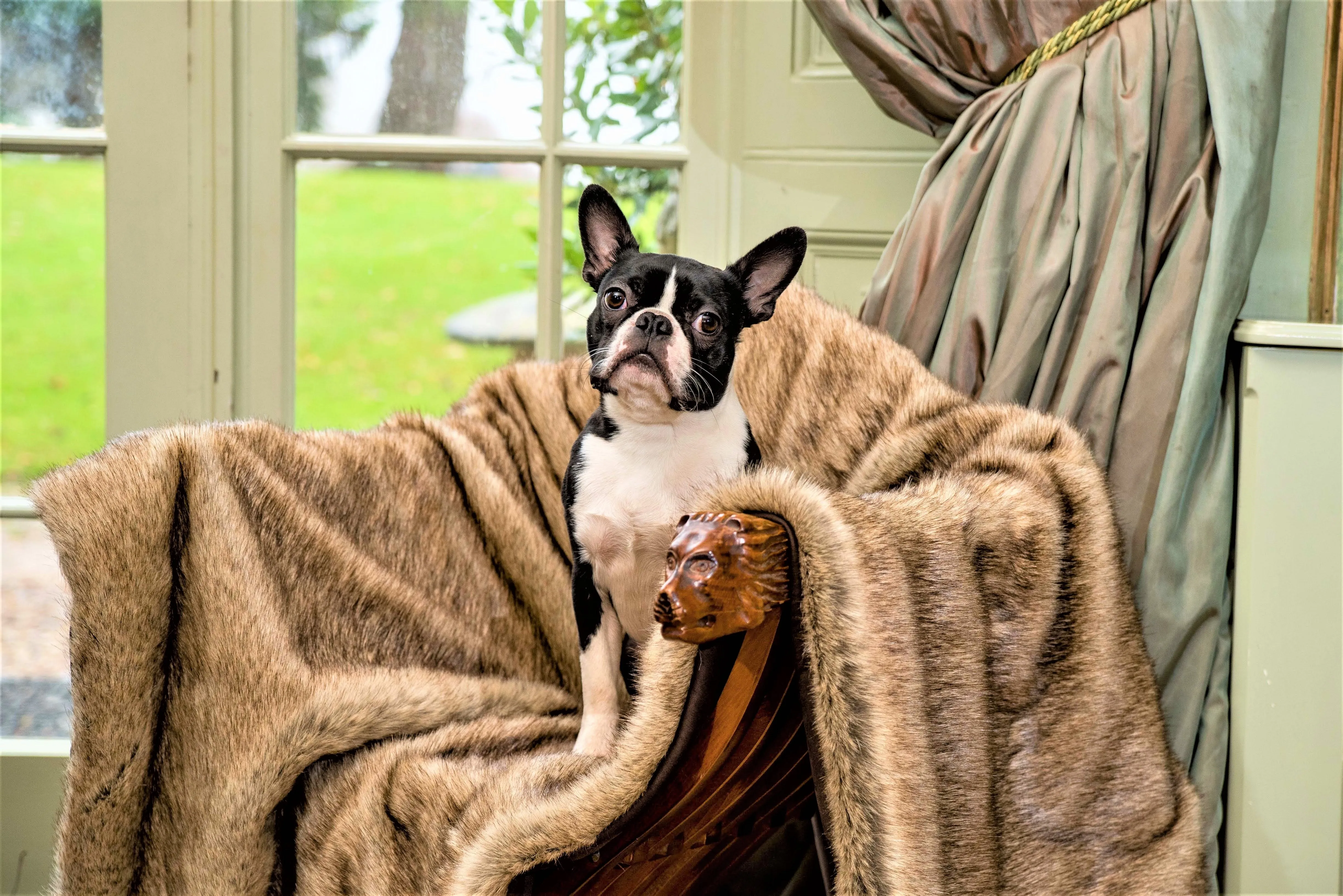 Faux Fur Dog Blankets