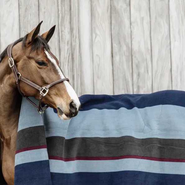 Heavy Fleece Rug Square Stripes