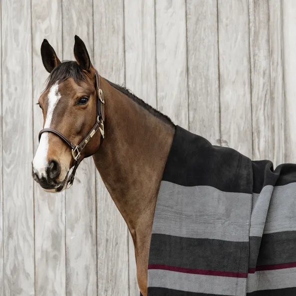 Heavy Fleece Rug Square Stripes