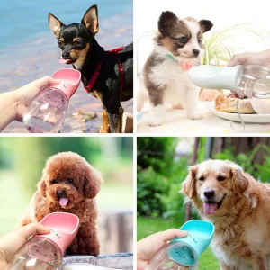 Portable Dog Water Dispenser All Sizes