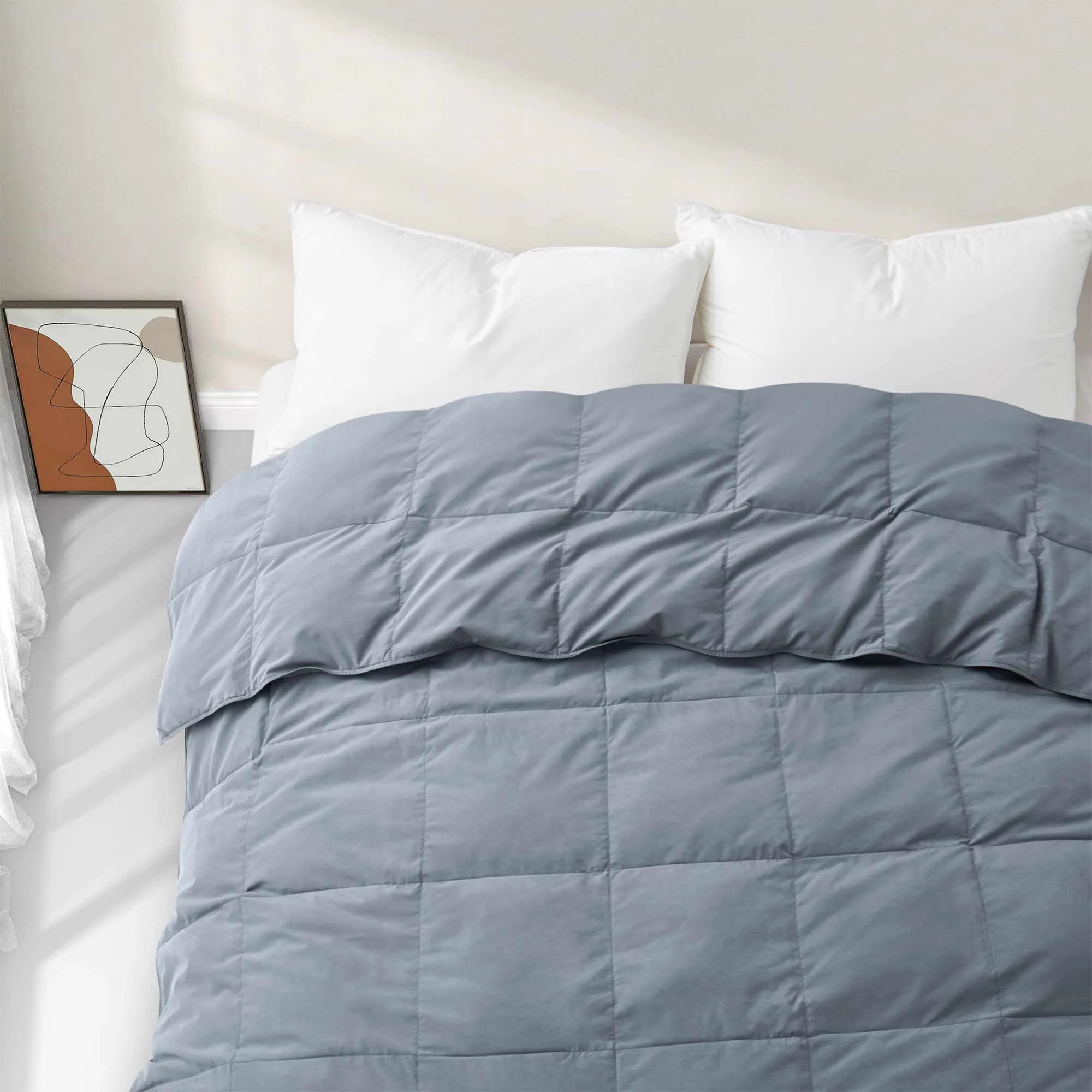 Puredown Feather and Down Comforter