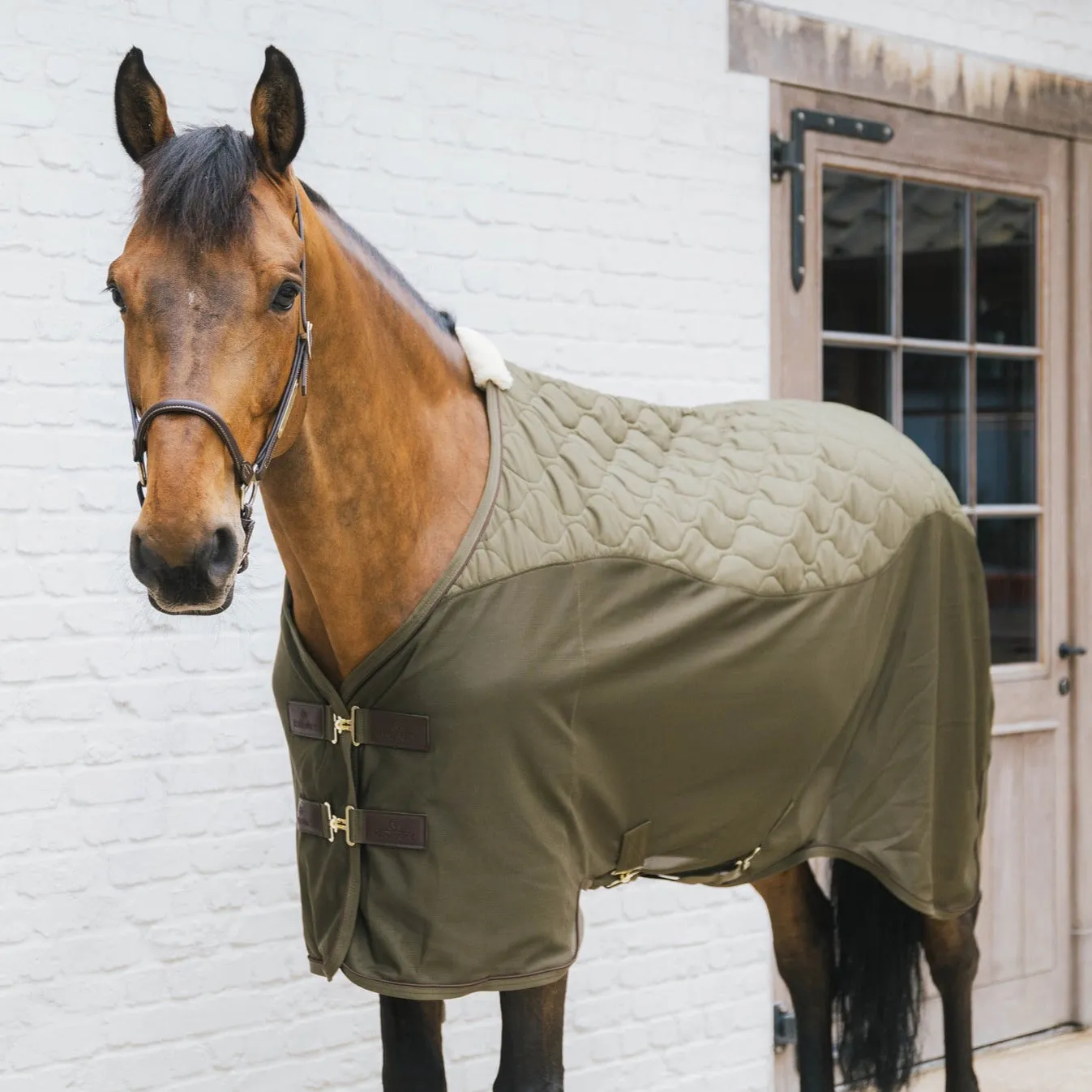 Transport Combo Cooler Fleece Rug