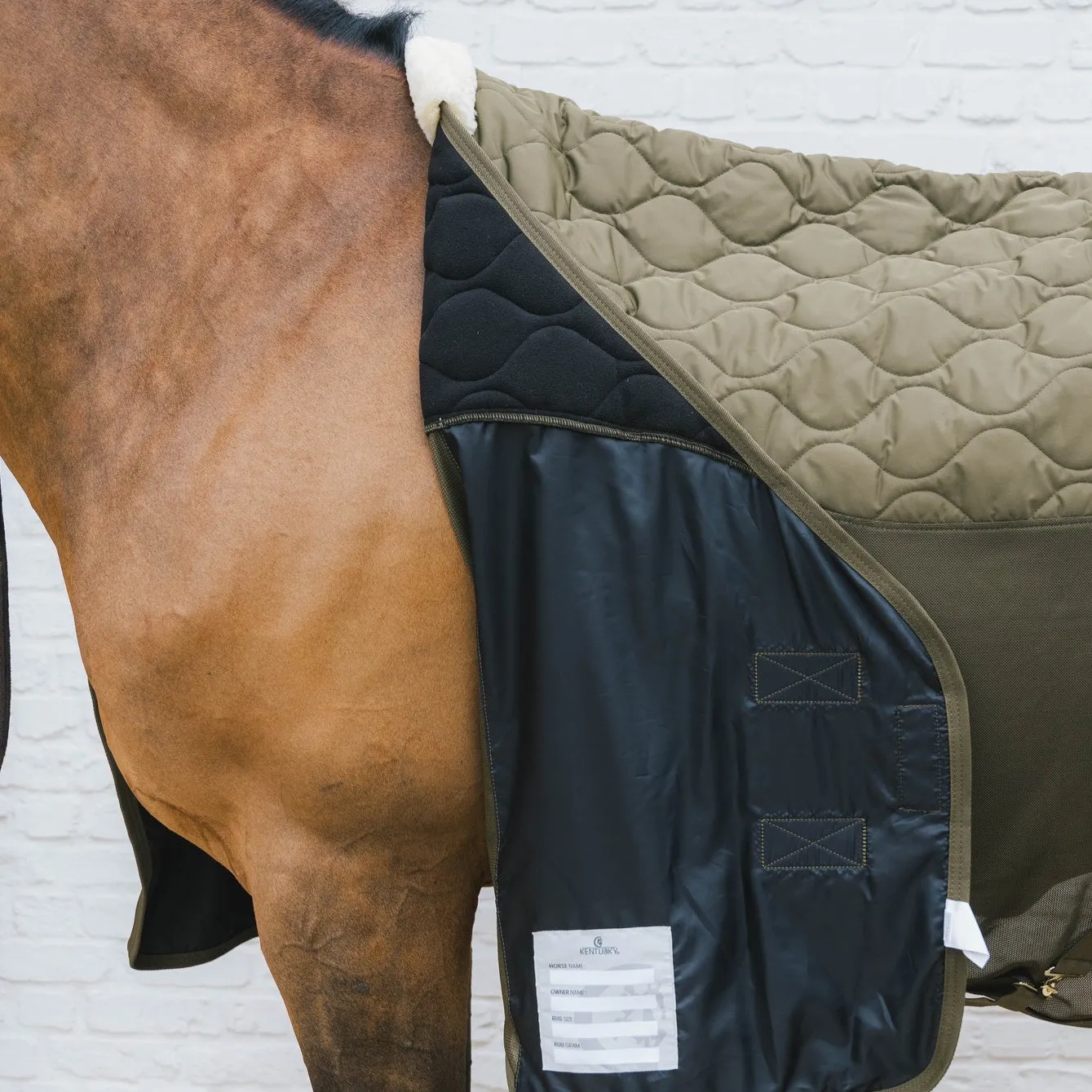 Transport Combo Cooler Fleece Rug